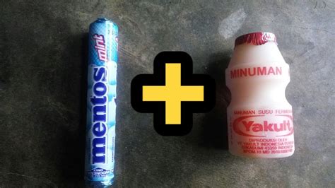 yakult + mentos|mentos + yakult